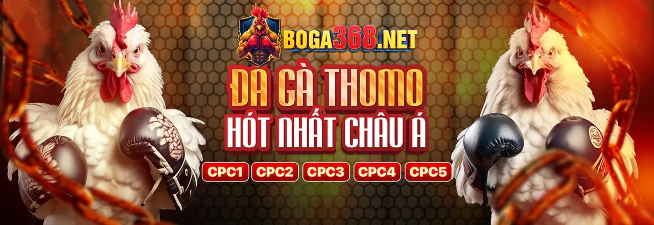 Sân vận động bóng đá với khán giả hò reo, tượng trưng cho cá cược thể thao sôi động tại suncity nổ hũ